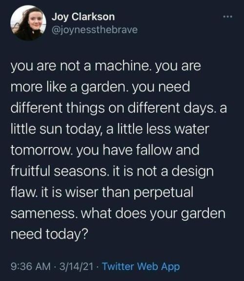 what does your garden need today? 