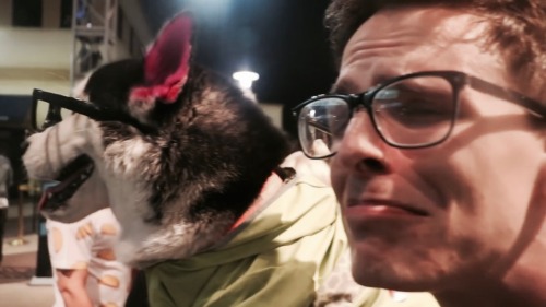 I Like Dogs, Cunt.