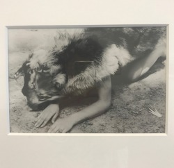 elanormcinerney:Ana Mendieta | Dog * (1974) | at Alison Jacques gallery, London