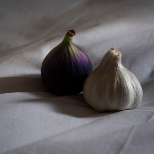 fotostuey - 3/365 Garlic and fig