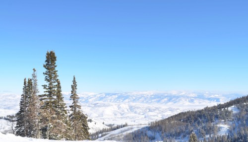 mushburch:  I really like pines PARK CITY UTAH