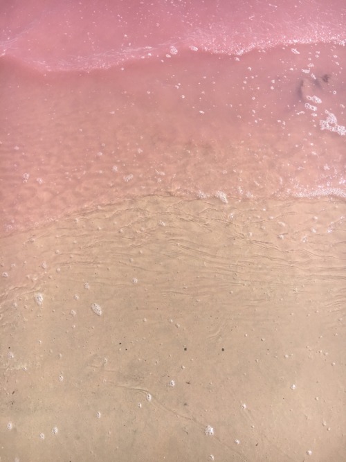 0neira:The Pink Lake, Victoria