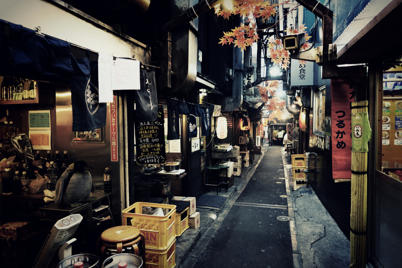 japan-overload:  by   jun-ta