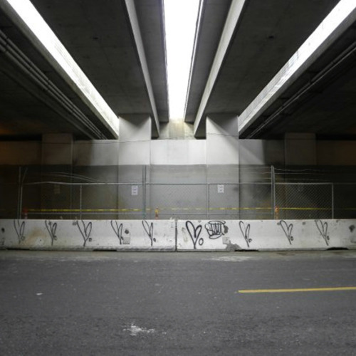 Sadie Barnett&rsquo;s work deals in the cultural currency of contemporary west-coast urbanism an
