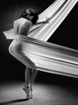 Vadim Stein Photography