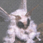 mushroommothlady