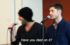 theflavourofyourlips:  Supernatural in a nutshell(x) 