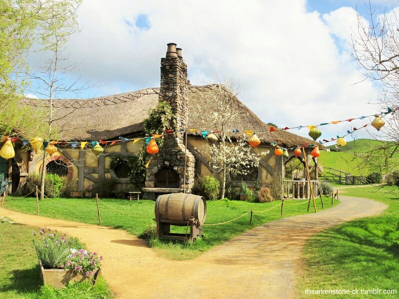 kyleecarrigan:  thearkenstone-ck:   Green Dragon -Middle-earth-Matamata / New Zealand