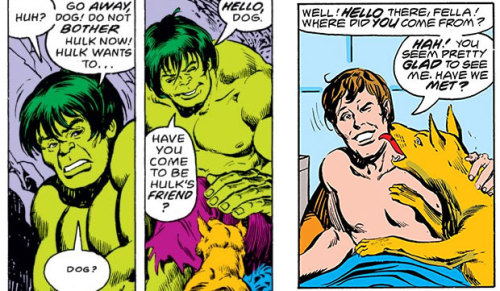 sweetxsecret: Hulk / Bruce Banner + Dogs