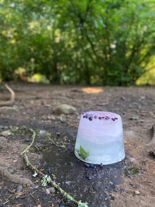 How do you keep a wolf cool during a 109 degree heat wave? Our creative animal care staff created an