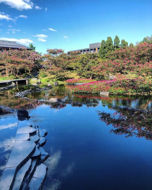 梅小路公園“朱雀の庭” [ 京都市下京区 ] Umekoji Park “Suzaku-no-niwa”, Kyoto の写真・記事を更新しました。 ーー京都駅近くで楽しめる現代日本庭園は、夏にはピン