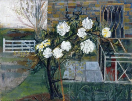 thunderstruck9:Humphrey Spender (British, 1910-2005), Staked Rose, 1953. Oil on canvas, 56 x 72 cm.v