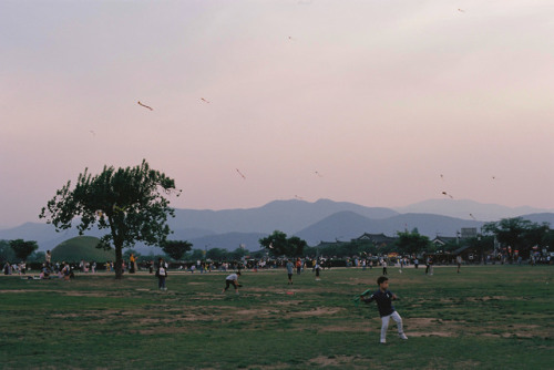 travelsofabrokegirl:life is so full of beautygyeongju, south korea