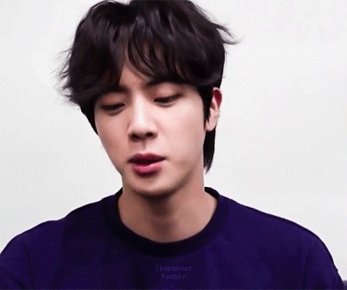 1/100 Days Of Kim Seokjin