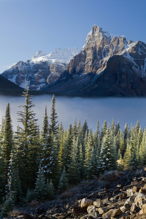 satakentia:Mount BabelBanff National Park, Alberta, Canadaby softclay