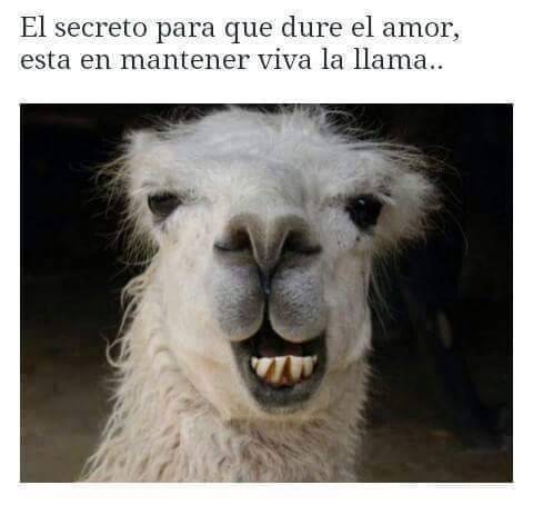 Montondemierda