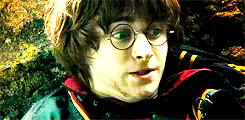 laufeysohn:  Harry Potter gifspam  Goblet of Fire 