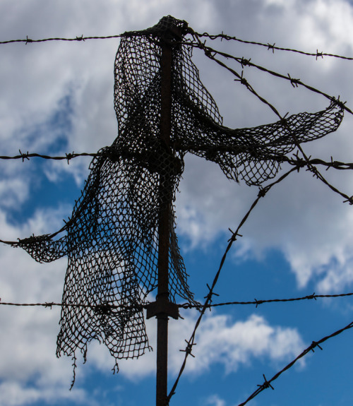 Barbed Wire Victim No.2 