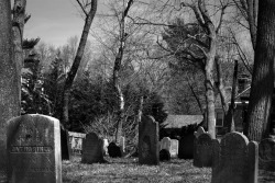 arenaphotography:  Monfort Cemetery XX, 2015Monfort Cemetery; Port Washington, New York© Jessica Arena 