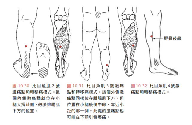 比目魚肌tumblr Posts Tumbral Com 比目魚肌tumblr Posts Tumbral Com