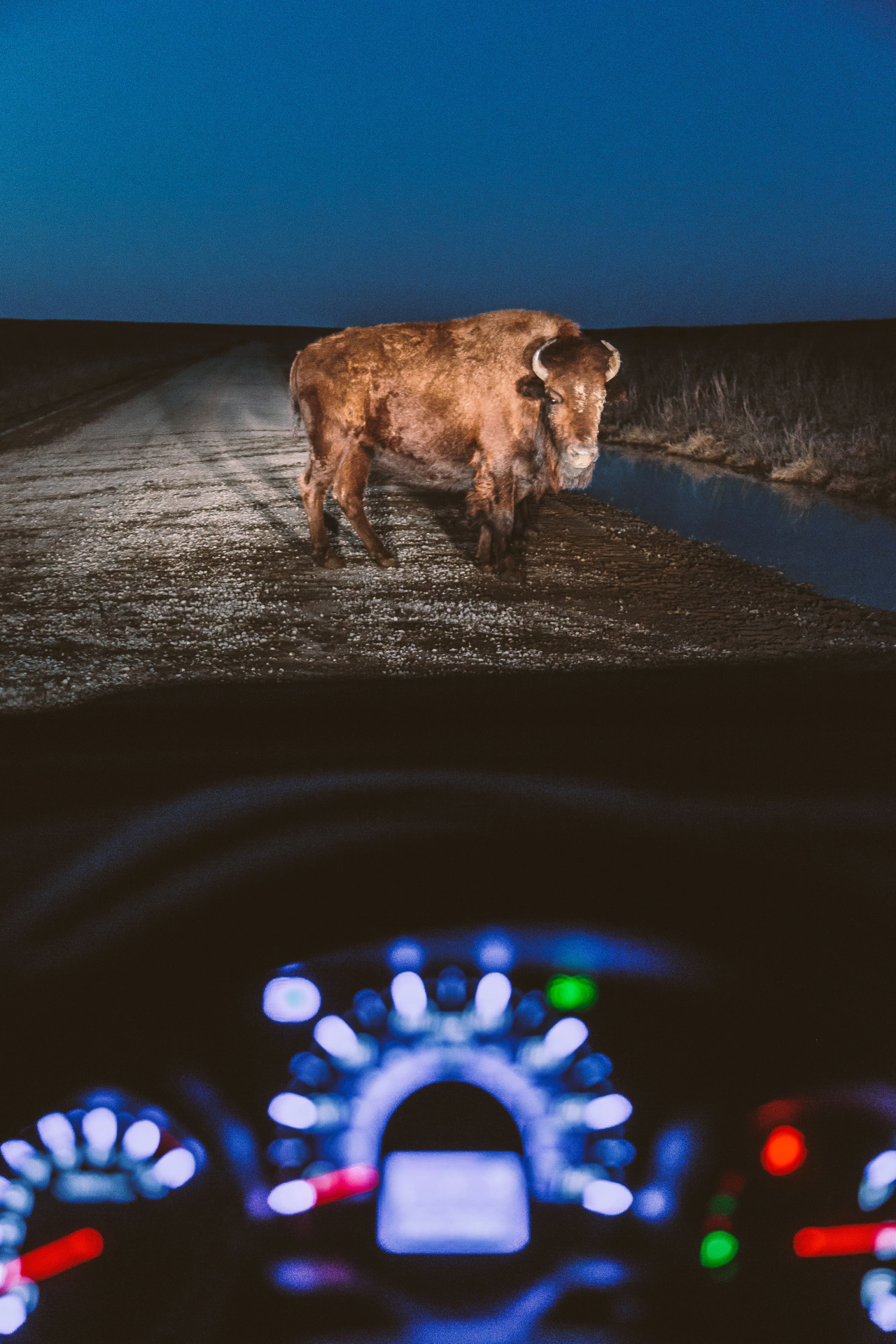 palominojacoby:  03diesel: johnclaytontaylor:  A Night in Oklahoma. See More: www.claytaylor.co