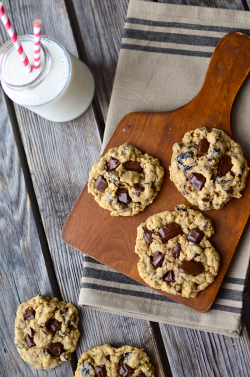 do-not-touch-my-food:    Chocolate Chip Oatmeal