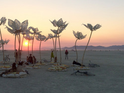 farewell-kingdom:  The art installation Pulse &amp; Bloom, the Burning Man 2014 “Caravansary” arts and music festival in the Black Rock Desert of Nevada 