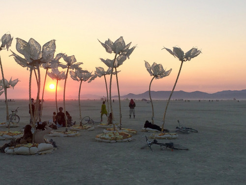 farewell-kingdom:  The art installation Pulse & Bloom, the Burning Man 2014 “Caravansary” arts and music festival in the Black Rock Desert of Nevada   Burning man is something I WILL go to at some point in my lifetime!