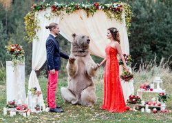 postimpression:  kreuzdrache:  kumosama:  atlas-prime:  amarilloo:  If this isn’t how I get married then what’s the point  @soursongbird  @reggetti are these your future wedding pictures  @reedrill  i cant believe this bear and these two people are