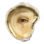 saturnineapparition