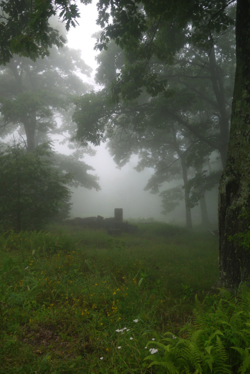 Sams Point in the Fog by WhatsAllThisThen