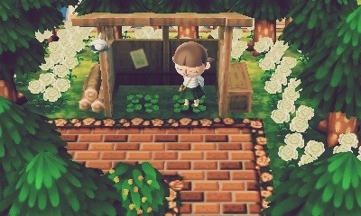 mayorbrewster: lilac-leaf's town LilacDream address: 4400-4099-3211 