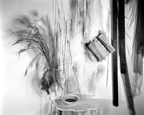 artemisdreaming:   Lauren Semivan      