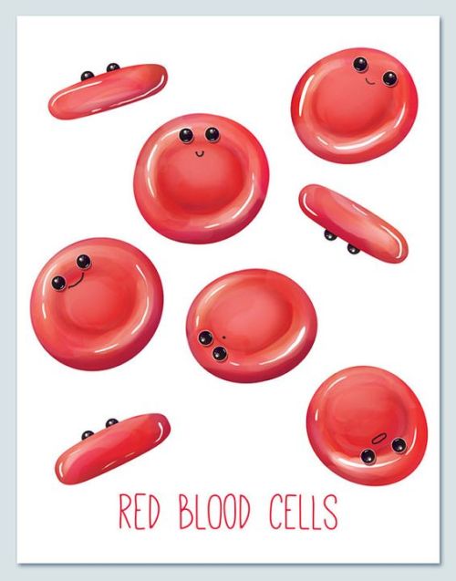 Cute Components of Blood