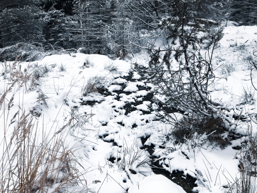 Late winter days, camping in my beloved Ore mountains…