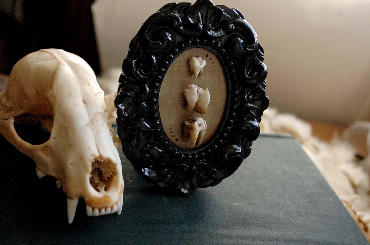 wolftea:  Teeny vintage inspired frame with little teeth! https://www.etsy.com/listing/167893790/tiny-curio-frame