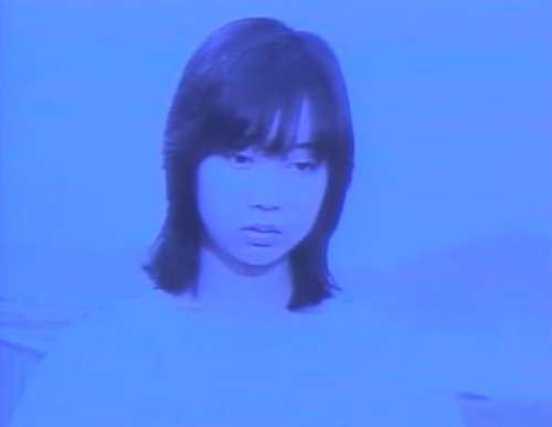 5 eyes