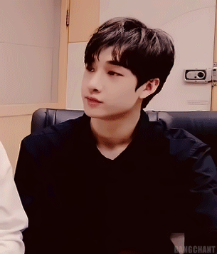 bangchant: 19-20/∞ gifs of Bang Chan