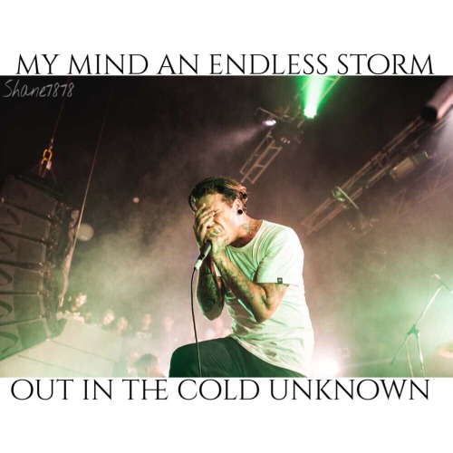 shane7878:  The Amity Affliction//FML  (My edit,not my photo)  Instagram:Shanecroz78 