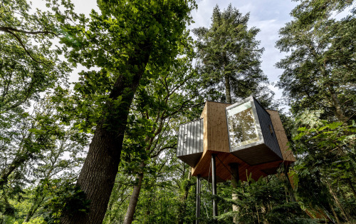 Good wood - been offline travelling but am back with a belter! This treehouse in a Danish forest was