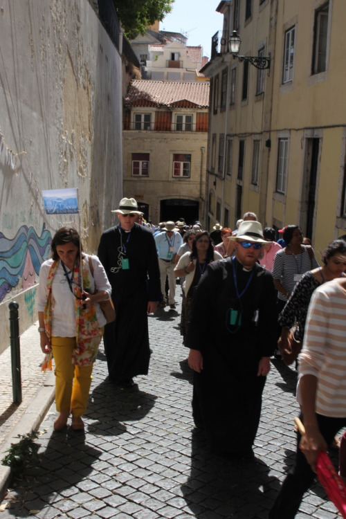 Our pilgrims have been logging five to nine miles a day on the Te Deum Pilgrimage, much of it up steep slopes and very old stone staircases as they visit holy sites around Portugal. This photo is of the group ascending the road up to St. Anthony’s...