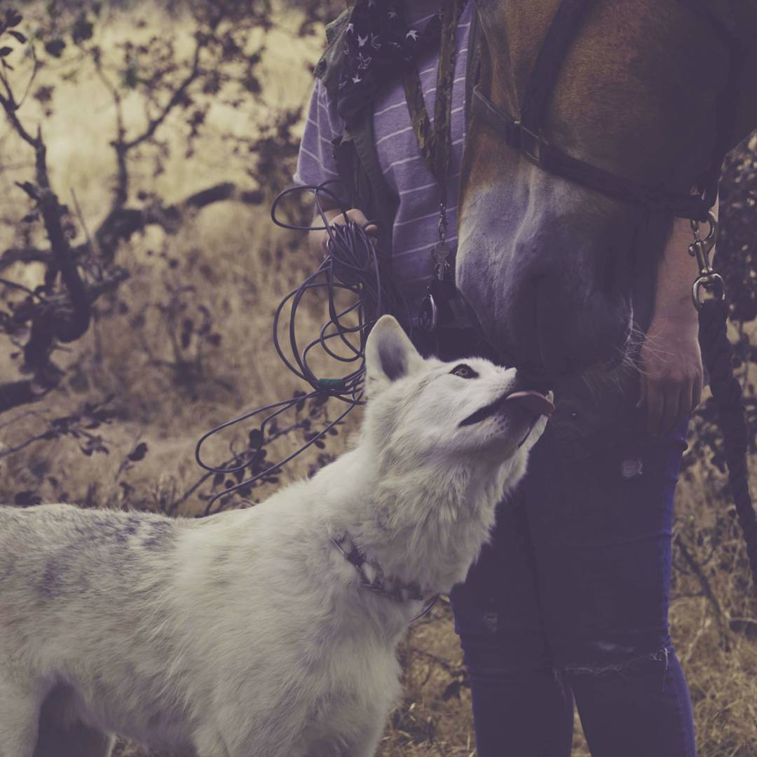 projectwildsong:  One of the behind the scenes photos captured by @missberlish when