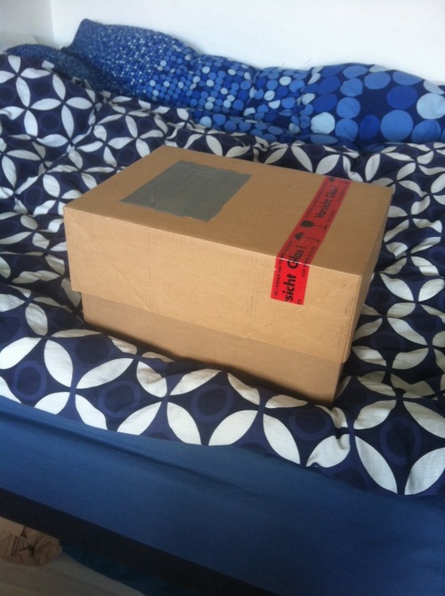 roxypaw:grofiran’s present just arrived!!! Can’t wait for the 7th/8th to see his face!! I love you b