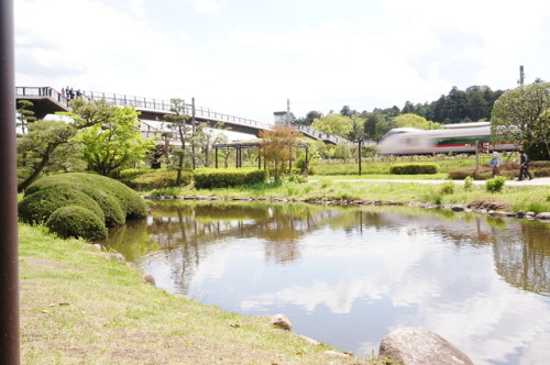 日本三名園の偕楽園へ。あとは岡山の後楽園に行けばコンプリートです。お天気も景色もよかった。2019.5