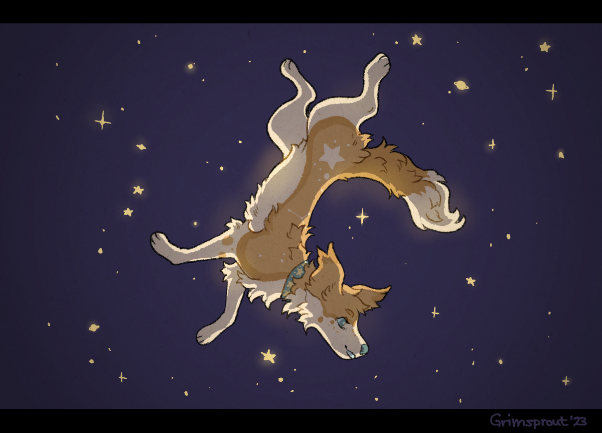 A light brown colored dog with soft flowy fur and floppy ears is floating upside down in front of a night sky with golden stars. It's looking relaxed and happy.