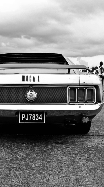 h-o-t-cars:    Ford Mustang Mach 1    porn pictures