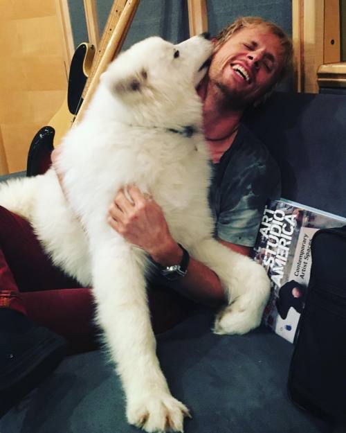musenewses:Dom Howard on Instagram:Ghost the dire wolf does like a nuzzle.. x