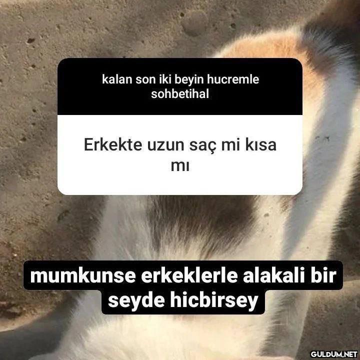 benim erkek nefretinin...