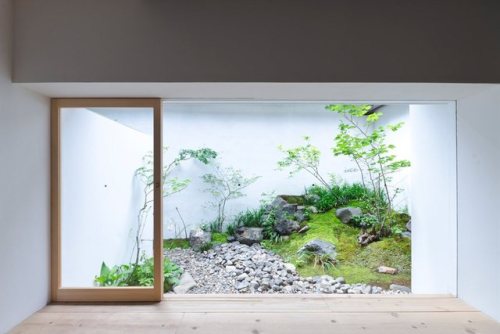 upinteriors: Japanese internal garden. AWOMB by Endo Shojiro Design. © Matsumura Kohei.