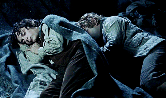 frodo-sam:  His love for Frodo rose above all other thoughts, and forgetting his